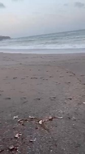 🗞️ Breves El Faro El temporal trae este tipo de residuos, toallitas que se tiran al inodoro y provocan estos graves daños medioambientales Esto ha ocurrido en Benítez | El Faro de Ceuta