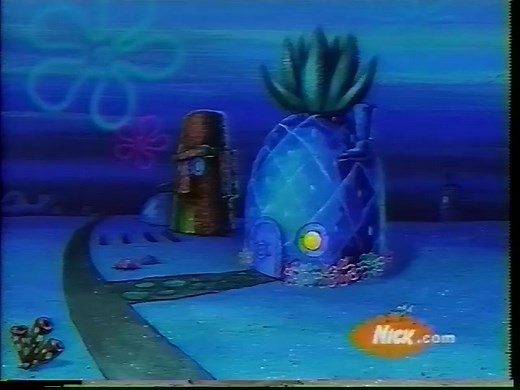 [VHS Recording] Nickelodeon And Nick Jr Plus Survivor