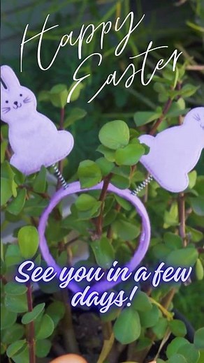 Happy Easter!