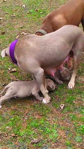 First time outside Turner and Queen