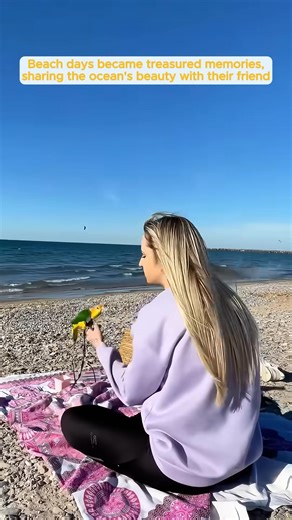 This family rescued a parrot that jumped into the washing machine and then... | Grace Charis | Facebook