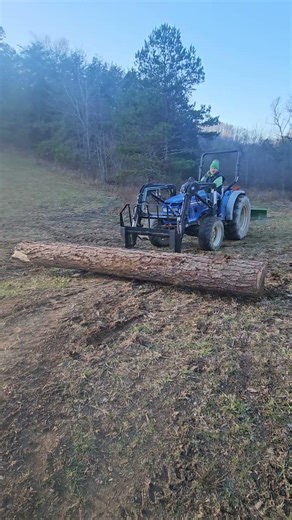 The path to progress...hauling logs to cut into lumber