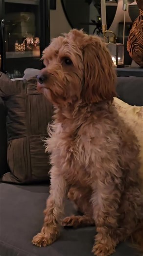 Celebrating My Best Friend's Birthday with a Cuddle