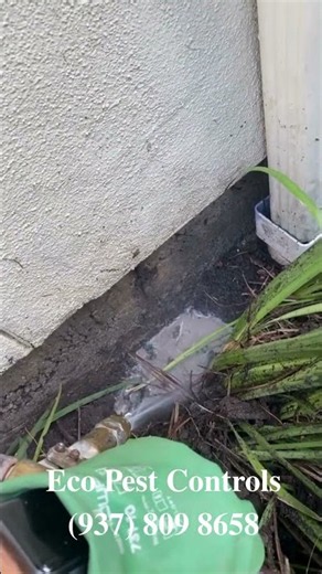 How We Liquid-Block Termites From Eating Your Home 🛡️ # #exterminator #pestcontrol