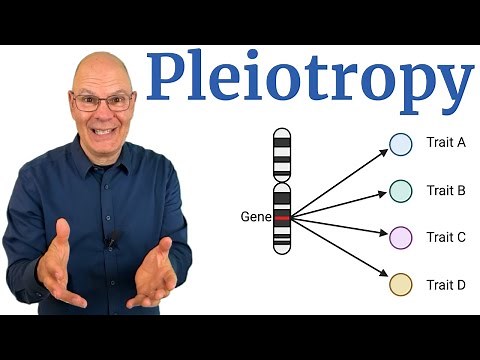 Pleiotropy