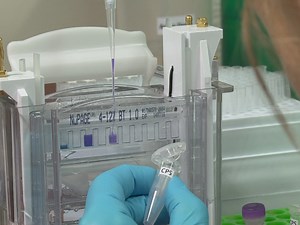 Combining Chemical Cross-linking and Mass Spectrometry of Intact Protein Complexes to Study the Architecture of Multi-subunit Protein Assemblies