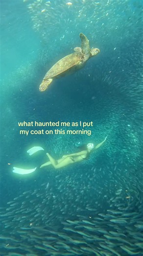 What haunted me as I put my coat on this morning — short autumn story