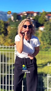 74K views · 1.2K reactions | Até breve Caniçada. | CANAL VIVA Entretenimento | Facebook