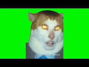 Monday left me broken cat meme (green screen)