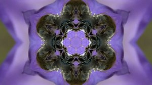 Free video - Abstract, Motion Backgrounds