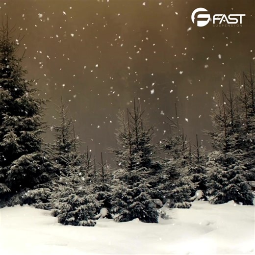 FAST SUSPENSION team wish you a merry Christmas to you and your family 💜 #christmasvibes #christmasday🎄 #christmaswithfamily #fastsuspension | FAST Suspension