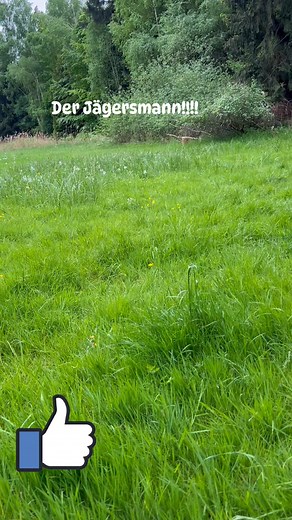 Michael Pick on Reels