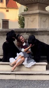 Lindy - Tv Inspired Swing Button Down Dress With Bow Custom Made Rockabilly Vintage - Etsy