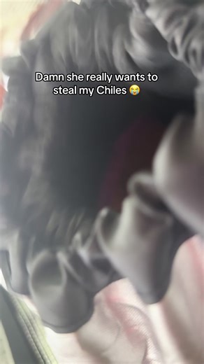 Stizzy 🦆 🦆 (@stizzygii)’s videos with original sound - Leothegoat✝️