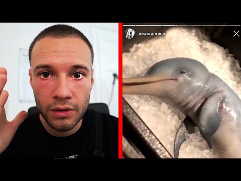 Baby Delfin Statement
