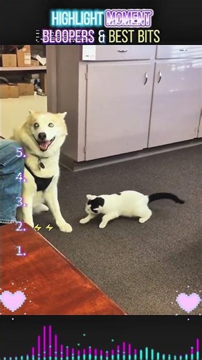 TOP 5 MOMEN TERLUCU VIRAL! WAJIB NONTON 🎉 #funnyvideos #comedy #viral #memes #lol #haha #laugh #top