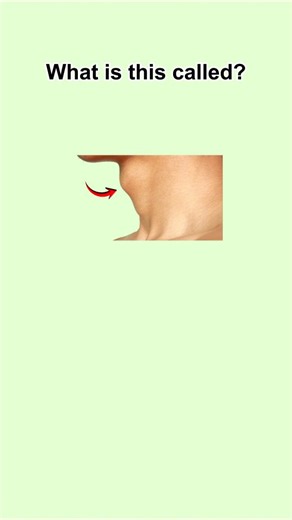 DYLAN ENGLISH on Instagram: "LEARN ENGLISH VOCABULARY ⚡️🚀 . . . . #Learnenglish #Englishpractice #Englishvocabulary #explore #instagood"