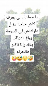 Sabre Sabri on Reels