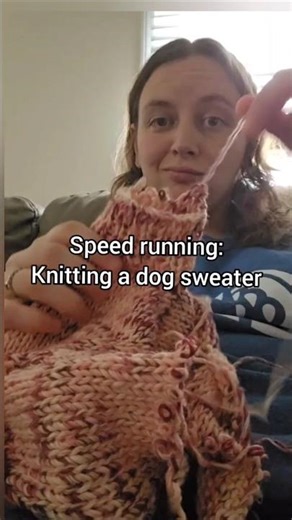 Speed running a knit dog sweater #knittingvlog #knitting #speedrunning #crochetvlog #crochet
