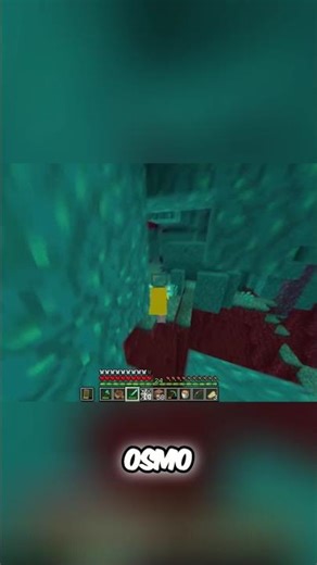 Nether Bridge Build: Surprise Fan Wants Autograph! #shorts