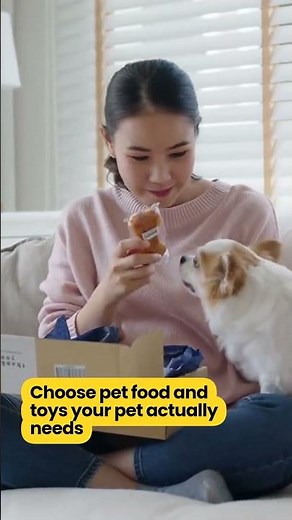 Choosing the Best Food and Toys for Pets
