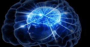 Liệu chơi Counter-Strike có giúp não bộ nghĩ nhanh hơn? Một giáo sư đại học đi tìm câu trả lời