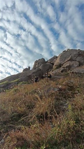 #remix #music #trendingvideo #mountains #nature