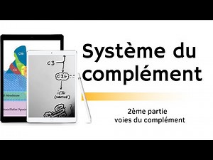 Système du complément 2ème partie voies du complément