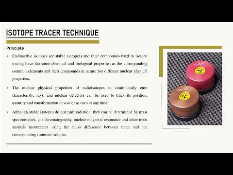 Stable Isotope Tracer Technique