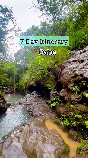 Your 7 day Oahu itinerary is HERE 🏝️🌊🐬🌺 Day 1: Explore the Waikiki area - do some shopping, go swimming at the beach or take a surf lesson at Waikiki Beach. Grab a cocktail at the Moana Surfrider Hotel and watch the sunset. 🍹 Day 2: Sunrise Diamond Head hike (trust me, it’s worth the early wakeup). Stop by Leonard’s for malasadas on your way back. Then grab dinner at Duke’s Waikiki for the best oceanfront dinner vibes.⚡️ Day 3: Head to Pearl Harbor and take the boat ride to the USS Arizona 