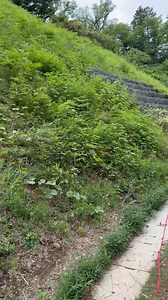 お腹に首から顔おいて右手は腕チョイかけてかわいいやつよのシロイワヤギの見習いとして傾斜度高めを駆け上ろうとしてやめたグッグも可愛い