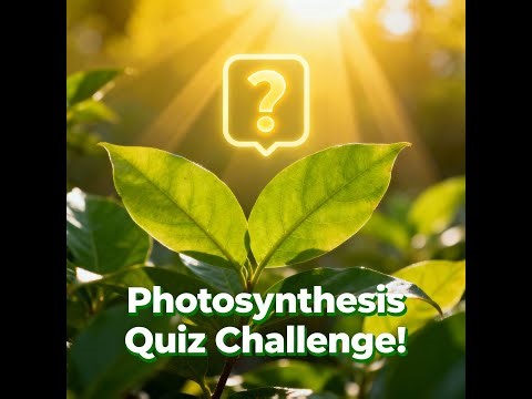 "Photosynthesis Quiz Challenge: Test Your Plant Power!"