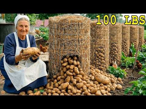 How to Garden Like the Amish: Growing a Year of Food with Zero Electricity