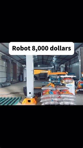 张成浩 on Instagram: "Palletizing robot#abb #fanuc #kuka #yaskawa"