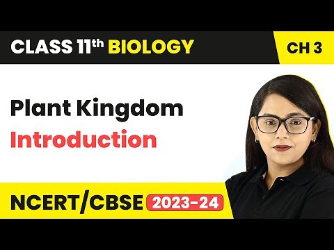Plant Kingdom - Introduction | Class 11 Biology Chapter 3 | NCERT/CBSE