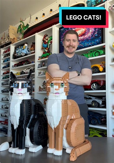 Why Orange Cat LEGO Wins: A Comparison