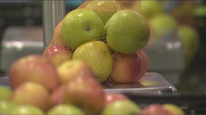 Central Texas Food Bank needs help in the fight against hunger