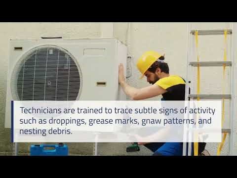 Rat Control Scottsdale: Reliable Protection with Long-Term Results