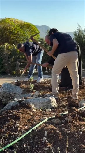 Exploring the Beauty of Jerusalem's Holy Land