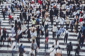 Scientists Found the Exact Angle That Turns a Crowd Into Chaos – Lifeboat News: The Blog