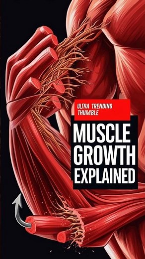 How Muscle Actually Grows 💪 The REAL Science Behind Hypertrophy!