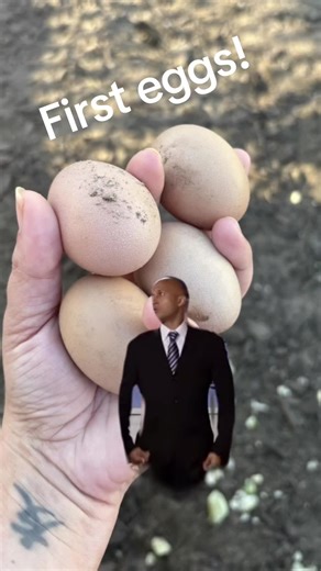 Onlyjessicayouneedtoknow on TikTok