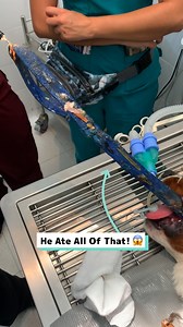 Pulling swallowed leash out of dogs throat 😨🐶 | Craft Factory