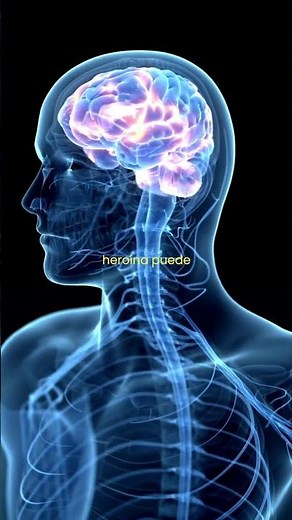 Heroína: Consecuencias y daños en el CEREBRO l #neurobiología l #neurociencias l #saludmental