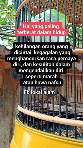 4.9K views · 56 reactions | Hal yang pling terberat dalam hidup | Lokal alam | Facebook