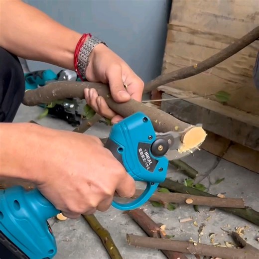 48V Cordless Pruner Scissors Electric Pruning Shears Two Batteries for Garden