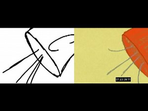 Sid the Science Kid Ep. 1x28: Big Idea Storyboard Comparison