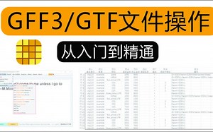 地表最强 GFF3/GTF 文件操作讲演 ~ TBtools-生信石头-生信石头-哔哩哔哩视频