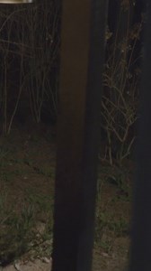 1.5M views · 726 reactions | Casting “Slasher Camp,” a feature film where reckless camp counselors must fight to survive when the camp becomes a bloody nightmare. Paying up to $4,200! | Backstage | Facebook