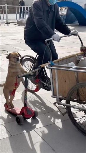 He looks proud on his little scooter😂🙈